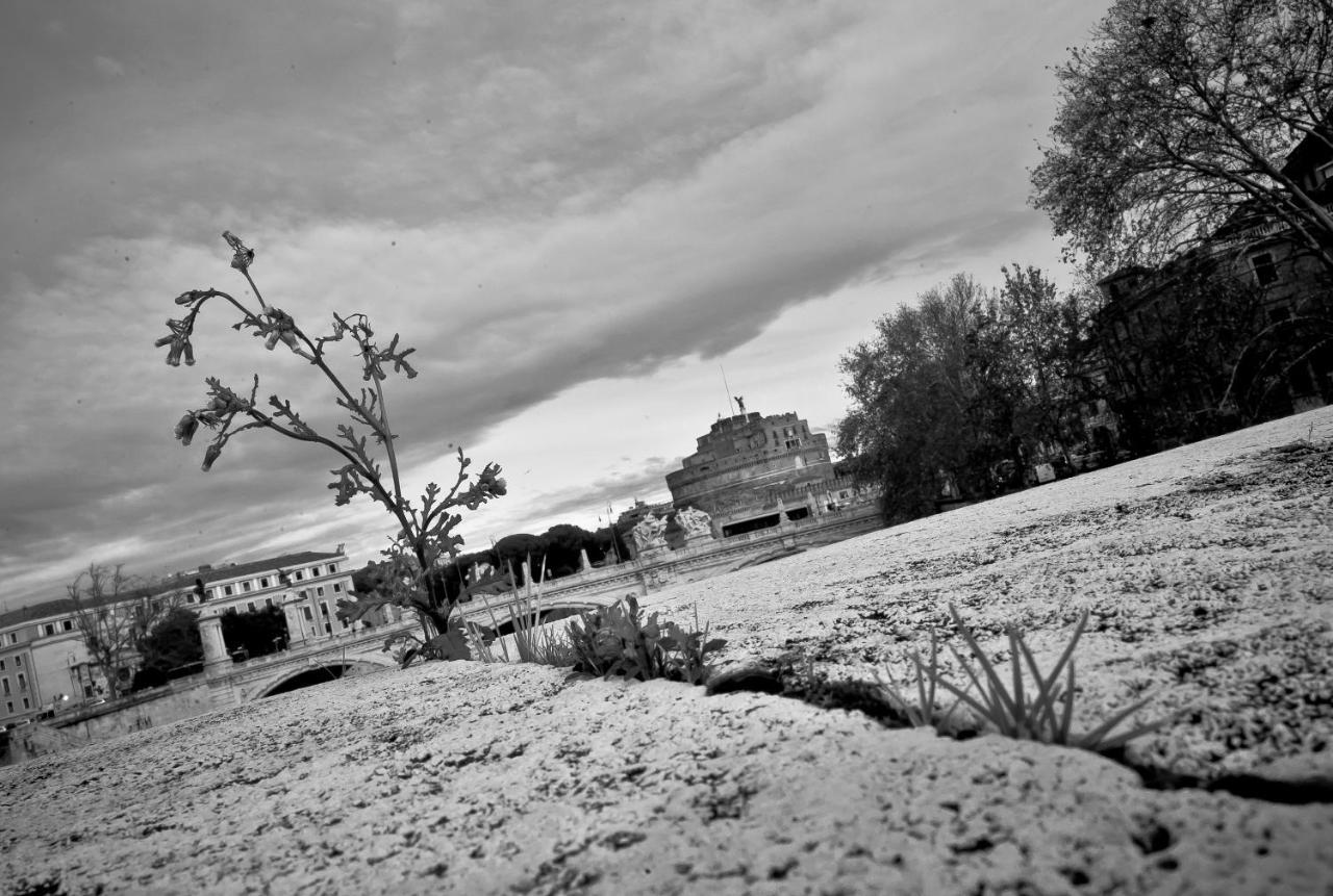 Appartamento Zona Vaticano 2 Рим Экстерьер фото